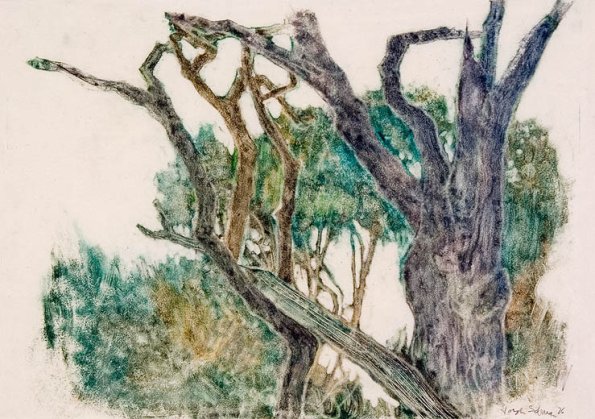 Trees, monotype, 11 x 14