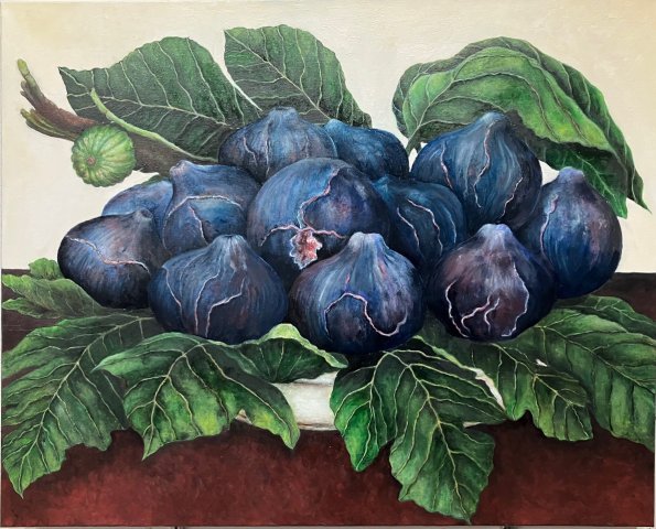 Figs, oil on canvas, 24x30