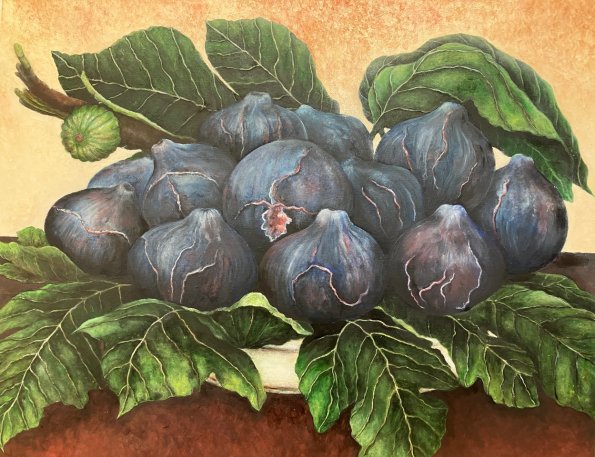 Figs, oil on canvas, 24x30