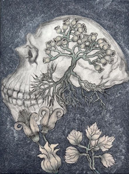 Skull, Acrylic, pencil, ink, paper, acrylic medium on canvas 12 x 9 inches