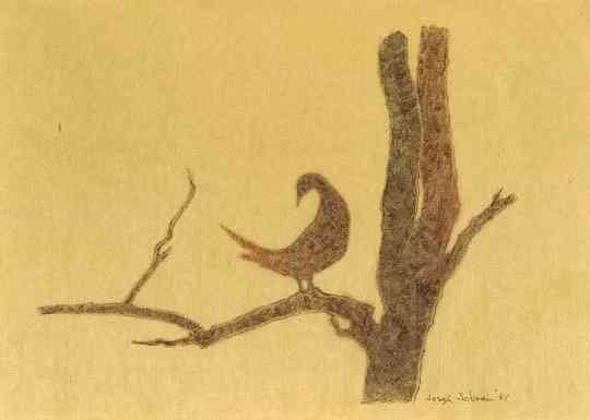 Bird, monotype, 11 x 14
